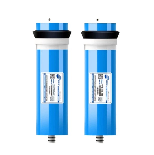 2 Stuks 400 Gpd Omgekeerde Osm - Basin Mixer Cartridge recensie en prijs
